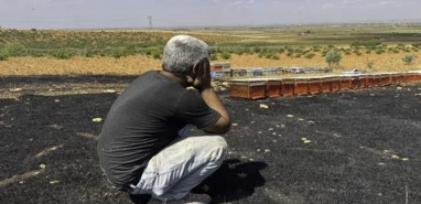 Şanlıurfa’da kendi tarlasını zehirleyenlere kötü haber: Cezası ağır olacak!