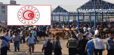 Şanlıurfa’da Kurban Bayramı alarmı: O mesajlara sakın tıklamayın