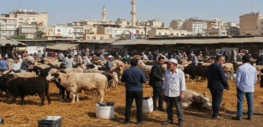 Şanlıurfa’da Kurban Bayramı öncesi gözler kesim ücretlerinde