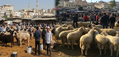 Şanlıurfa’da kurban tartışması! Ucuz mu, pahalı mı?