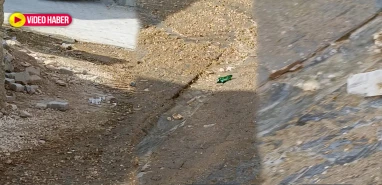 Şanlıurfa’da mahallelinin tepkisini çeken görüntüler!