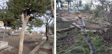 Şanlıurfa'da mezarlığa giden şoku yaşadı! Bu katliamı kim yaptı?