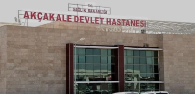 Şanlıurfa’da otomobil tarlaya uçtu! Sürücü yara almadan kurtuldu