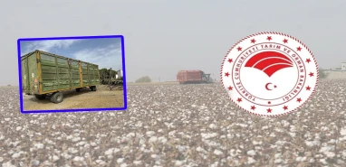 Şanlıurfa’da sezon hareketliliği! Müdürlükten hem uyarı hem denetim