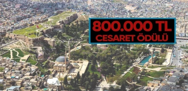 Şanlıurfa'da sinemada "Ben bu filmi izlerim!" diyene servet: Tam 800 bin TL!