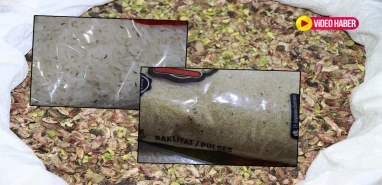 Şanlıurfa’da zincir marketlerde skandal üstüne skandal! Mide bulandırdı