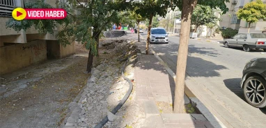 Bakanlık radikal kararlar aldı ama… Şanlıurfa’da standartlara uyanı yok