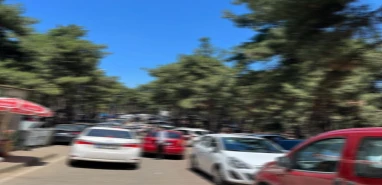Şanlıurfalılar buralardan kaçıyor! Korkutan tehlike yayılıyor