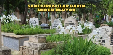Şanlıurfalılar neden ölüyor?