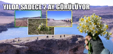 Şanlıurfa'da Sibirya soğuğu bile onları durduramadı!