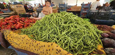 Şanlıurfalıların dört gözle beklediği lezzet tezgahta!