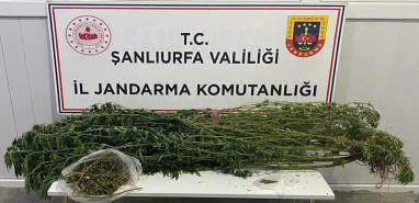 Şanlıurfa’nın 4 ilçesinde zehir tacirlerine darbe!
