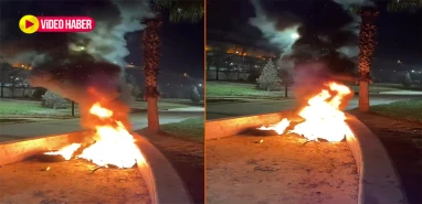 Şanlıurfa'nın başına bela oldular