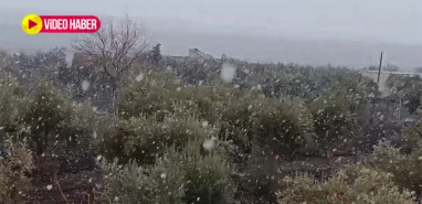 Şanlıurfa’nın beklediği kar geldi! Lapa lapa yağıyor... İşte ilk görüntüler