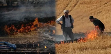 Şanlıurfa'nın can damarı kül olmasın! 2.7 milyon dekar tarım arazisi tehdit altında