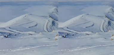 Şanlıurfa’nın yanı başında kar sürprizi! Beyaza büründü…