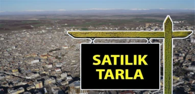 Şanlıurfa’da 500 dönümlük dev tarlanın hissesi icradan satışa çıkarıldı