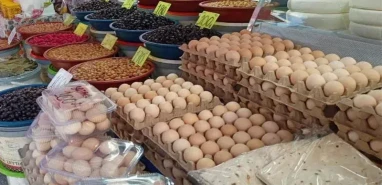 Şanlıurfa’ya bayram müjdesi! 200 TL’den 65 TL’ye düştü