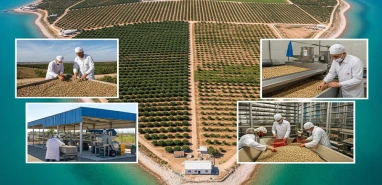 Şanlıurfa’ya fıstık gibi proje: “Fıstık adası" kuruluyor