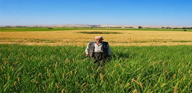 Şanlıurfa’yı bu bitki kurtaracak! Az su tüketiyor çok para kazandırıyor