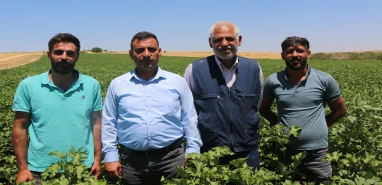 Şanlıurfa’da çiftçilerin feryadı! “Destekler su parasını bile karşılamıyor”
