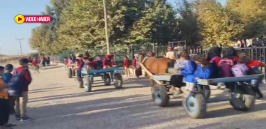 Şanlıurfa’da okula at arabalı servis!