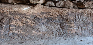 Şanlıurfa’da tarihi keşif: Sayburç'ta leoparlarla süslenmiş neolitik sahne