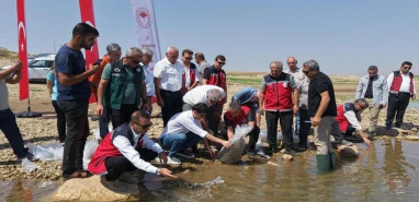 Şanlıurfa’dan Adıyaman’a 1 milyon yavru sazan balığı bırakıldı