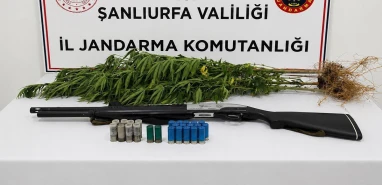 Şanlıurfa’nın ilçesinde jandarma baskını! Adresinden tüfek de çıktı
