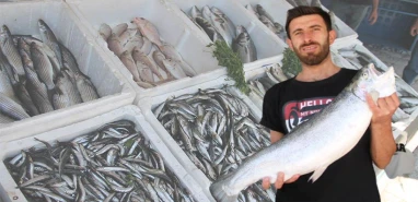 Sezon açıldı tezgahlar şenlendi