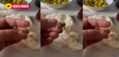 Şanlıurfa'da ekmekten çıkan pes dedirtti! Daha neler göreceğiz