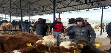 Şanlıurfa’da haftalardır kapalıydı! Canlı hayvan pazarında sıkı denetim