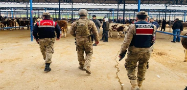 Siverek'te hayvan hırsızları yakalandı