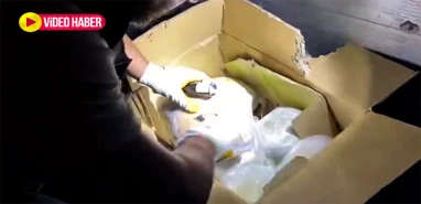 Şanlıurfa'da aracın dorsesinden çıktı: 160 bin kişilik felaket önlendi