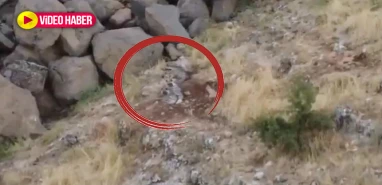 Şanlıurfa’nın gizemli bölgesi! Çizgili sırtlanlar, siğurlar ve domuzlar