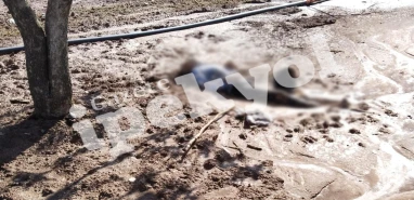 Şanlıurfa’da 2 gündür aranıyordu! Yaşlı adam fıstık tarlasında ölü bulundu