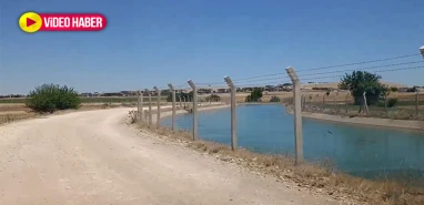 Şanlıurfa’da tehlike göz göre göre geliyor! Ne yol ne de tel örgü…
