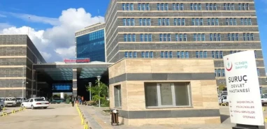 Şanlıurfa'da tır ile otomobil çarpıştı: Yaralılar var