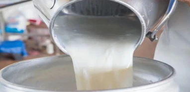 Borç kıskacındaki dev işletme için kritik eşik