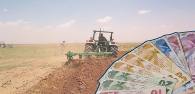 Şanlıurfa İl Tarım ve Orman Müdürlüğü müjdeyi duyurdu! 20 milyon TL hibe fırsatı