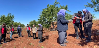 Felaketin ardından Şanlıurfa’da zarar tespiti yapılıyor