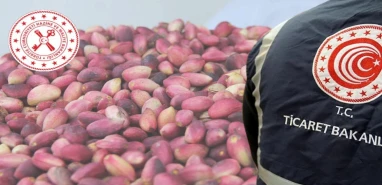 3 bakanlıktan Şanlıurfa'ya denetim!