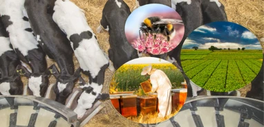 Bakan Yumaklı’dan Şanlıurfa’daki çiftçileri sevindiren haber! 5 milyar…