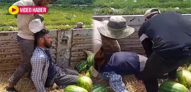 Şanlıurfalı tarım işçisi sıcağa dayanamadı! Tarlada baygınlık geçirdi