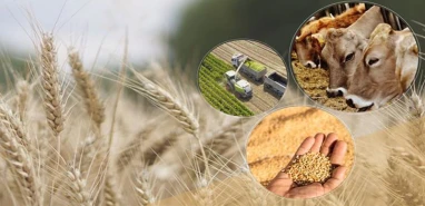 Tarım ve Orman Bakanlığı'ndan müjdeli haber! Kırsal kalkınma destekleri uzatıldı