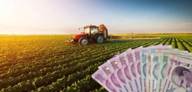 Hesaplarınıza bakın