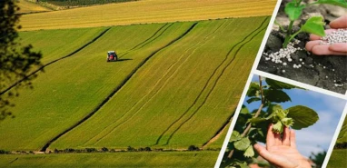 Şanlıurfalı çiftçilere güzel haber! Destek ödemesi hesaplarda!
