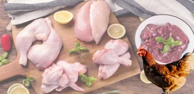 Tavuk severler risk altında!