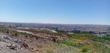 Şanlıurfalıların yeni gözdesi: Vatandaşların ilgi odağı oldu