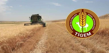 ENERJİ İŞLERİ YAPTIRILACAKTIR TARIM İŞLETMELERİ GENEL MÜDÜRLÜĞÜ(TIGEM) MERKEZ